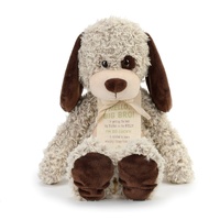 Demdaco Giving Plush Toy - Gift from the New Kid Baby Big Brother Puppy 25cm