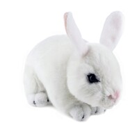 Bocchetta Plush Toys -  Dutch Rabbit Bunny White - Cotton 24cm