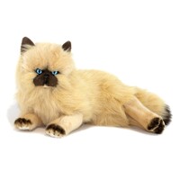 Bocchetta Plush Toys - Cat  Himalayan Cream Fluffy - Violet 36cm