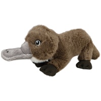 CA Australia - Platypus Bubs Eco Buddies 18cm Soft Plush Toy