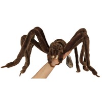 Hansa Plush Toy - Huntsman Widow Spider Jumbo XL 50cm