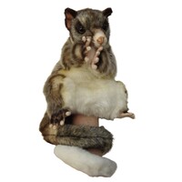 Hansa Plush Hand Puppet - Ringtail Possum Australian Marsupial